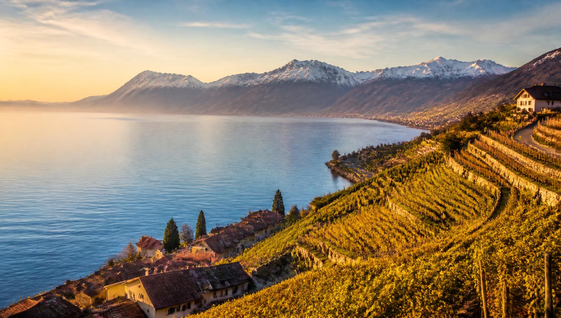 Le Léman au coucher du soleil, vignobles de Lavaux et Alpes enneigées
